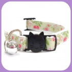 Kitten-130